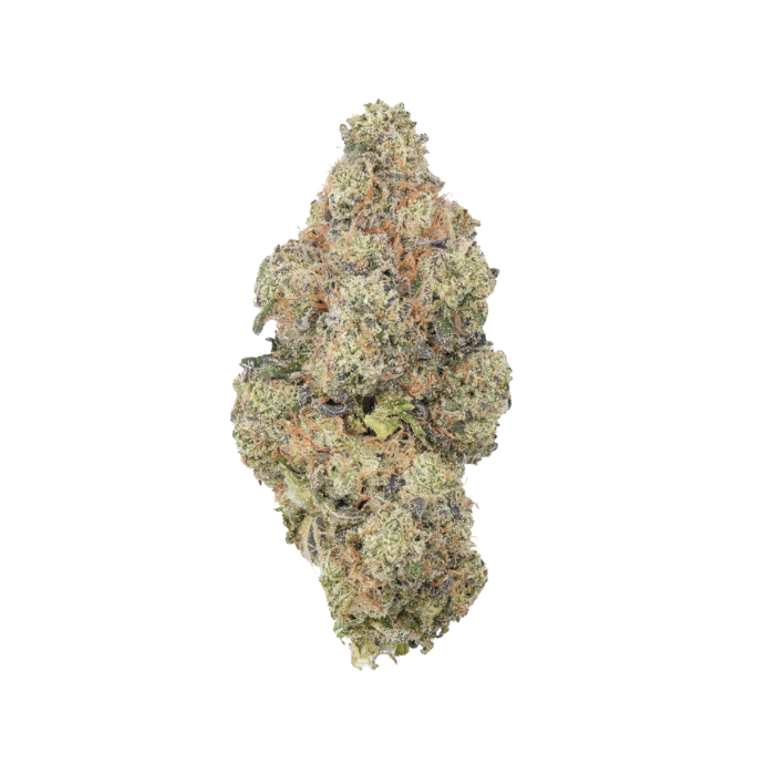 Gumbo (Indica) - Everyday Flower