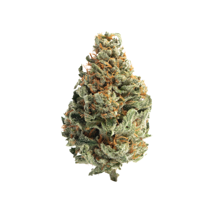 Tropical Runtz (Sativa) - Top Shelf Flower