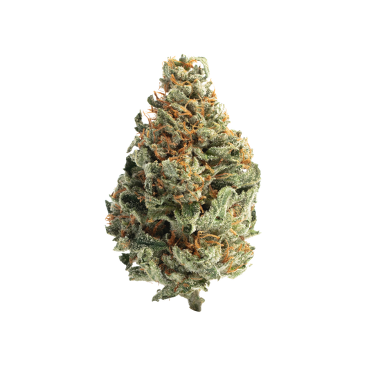 Tropical Runtz (Sativa) - Top Shelf Flower