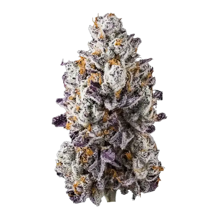 New Money (Sativa) - Top Shelf Flower